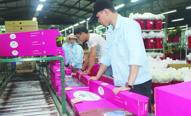 Coi-troi-nua-voi-kinh-te-tu-nh-9046-8158