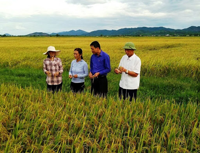 Cac-doanh-nghiep-luon-mong-muo-6150-7245