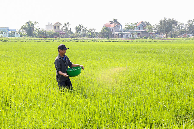 Nguoi-dan-HTX-Hung-Dong-cham-s-1539-6775