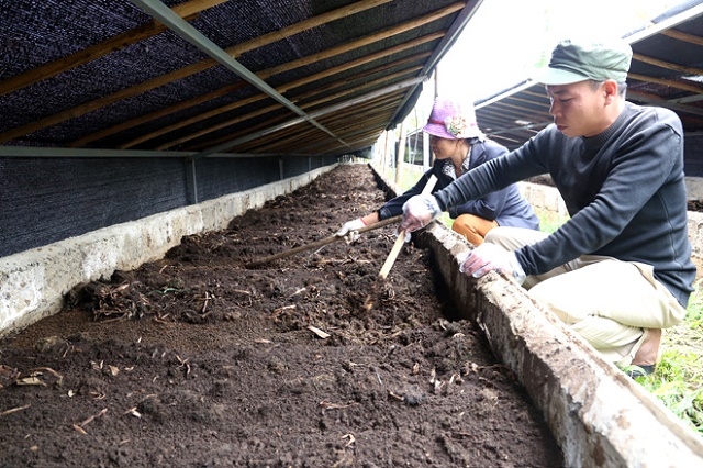 Mo-hinh-nuoi-giun-que-cua-gia-4505-4531-