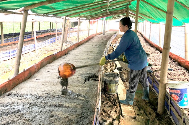 Thanh-vien-HTX-Nong-lam-nghiep-3706-8286