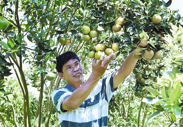 Nho-chuyen-doi-viec-canh-tac-n-5668-1209