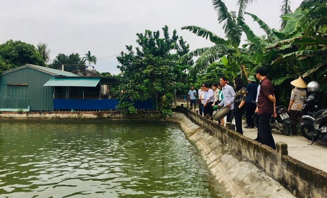 Nho-san-xuat-sach-an-toan-nen-3898-5254-