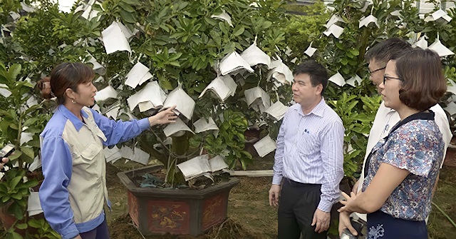 Remini20210813162934986-6164-1628996655.