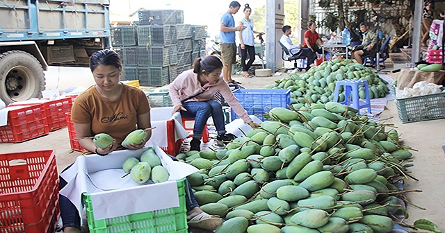 Remini20211005135811174-1402-1633485623.