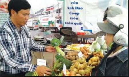 Điểm sáng mô hình HTX kiểu mới tại Lâm Đồng