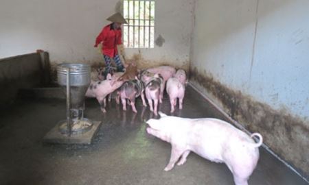 HTX Đức Mai: Tạo uy tín về chất lượng
