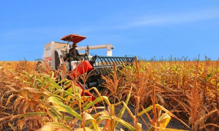 Đóng góp 18% tăng trưởng GDP nhưng đầu tư cho nông nghiệp chỉ hơn 5%