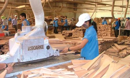 Không dễ tăng chuỗi giá trị gỗ
