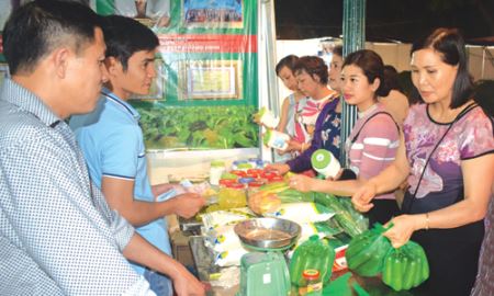 Dư âm Hội chợ hàng nông sản, TTCN khu vực HTX lần thứ I