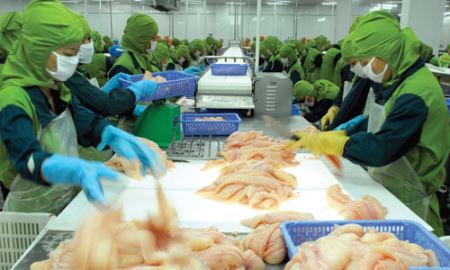Hàng rào kỹ thuật cản đường cá tra