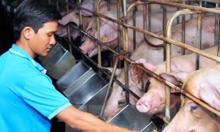 Hết dưa hấu tới thịt lợn, sắp tới là mặt hàng nào?