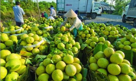 Vì sao nông sản chưa lột xác ?