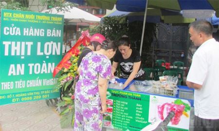 HTX Trường Thành: Chăn nuôi theo tiêu chuẩn quốc tế