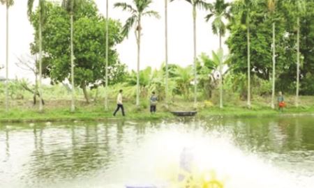 HTX Xuân Nẻo (Hải Dương): Khơi thông đầu ra cho sản phẩm