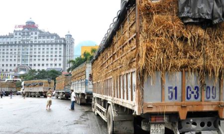 Xuất khẩu chính ngạch nông sản vào Trung Quốc