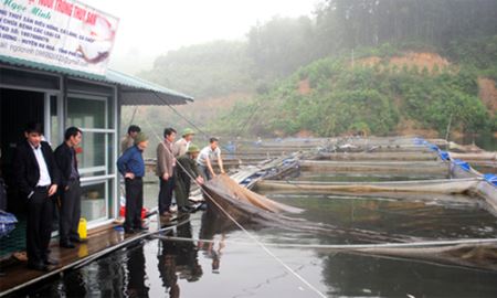Nuôi thủy sản, được môi trường
