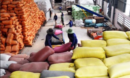 HTX Khiết Tâm: Nâng cao chất lượng lúa gạo