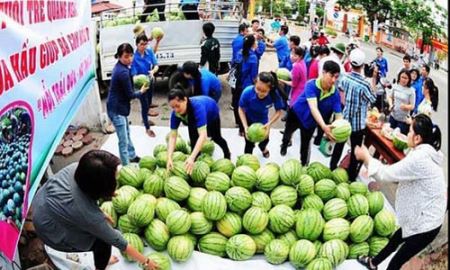Giải cứu nông sản và gói tín dụng 100.000 tỷ đồng