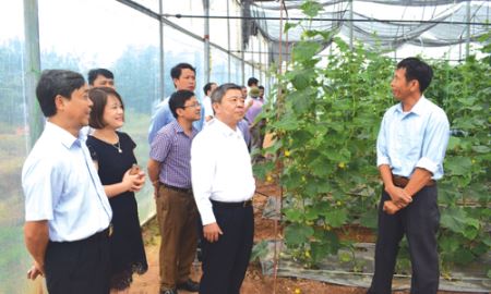 Phát triển HTX để nông thôn mới bền vững ở Phú Thọ