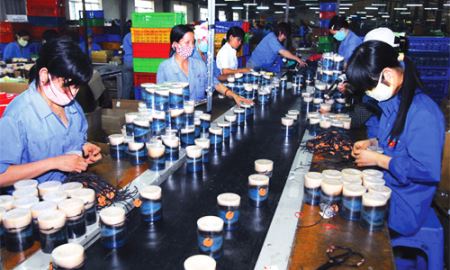 Hỗ trợ doanh nghiệp nhỏ cần thiết thực