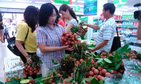 Vải thiều Lục Ngạn: Hướng tới xuất khẩu, không quên “sân nhà”
