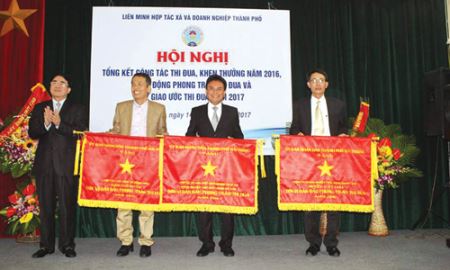 Thương hiệu nông sản an toàn HTX Hợp Đức