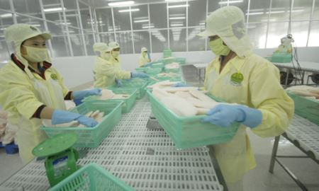 Ngăn đà giảm xuất khẩu thủy sản sang Mỹ, EU
