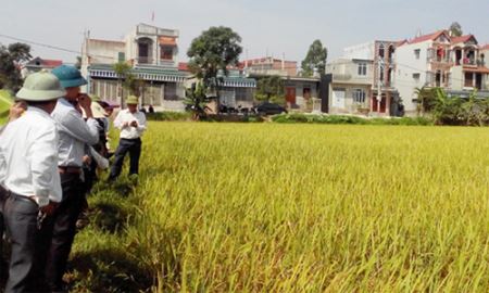 HTX Đồng Phú: Giải quyết khó khăn cho nông dân