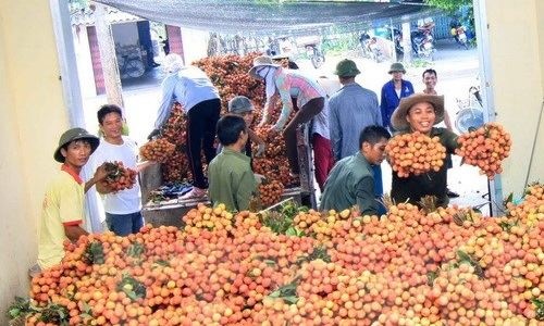 789bet có uy tín không