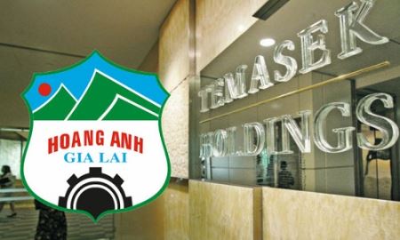 Bất ngờ với trái chủ nhận 137,5 triệu cổ phiếu hoán đổi của HAGL