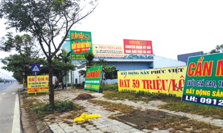 Đua lướt sóng đất nền, người mua ngậm trái đắng