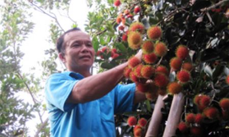 HTX Tân Phong vươn xa trên thị trường