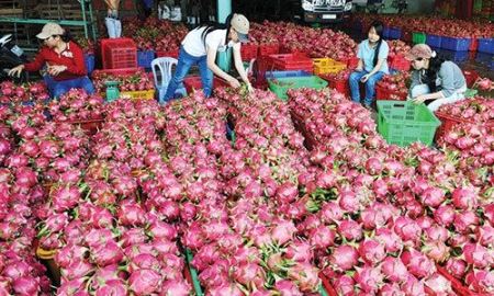 Bộ Công Thương nêu 8 bước để xuất khẩu hàng hoá vào Úc