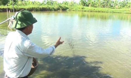 HTX Hồng Tiến (Thái Bình): Quan tâm phòng chống dịch bệnh