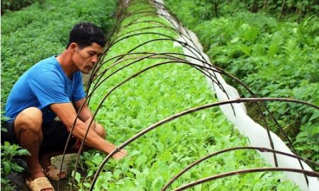 HTX Vạn Xuân Trường: Sản xuất đi liền với bảo vệ môi trường