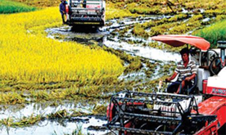 Đưa vốn “về quê”: Giảm nỗi lo trong tương lai
