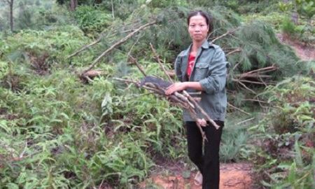 HTX Nà Pán: Liên kết để mang lại hiệu quả