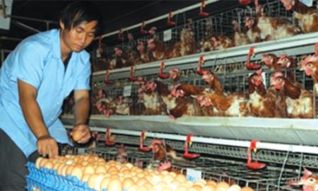 Đẩy khó từ người này sang người khác