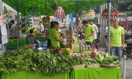 Các HTX, liên hiệp HTX sẽ được bảo lãnh vay vốn trung, dài hạn