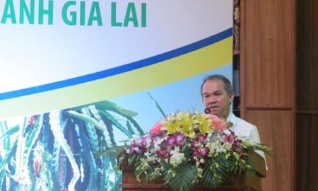 Quý 2/2017, HAGL Agrico ước lãi 215 tỷ đồng
