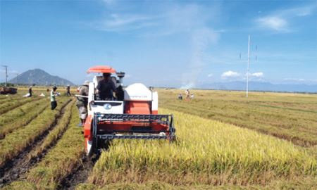 “HTX bảo đảm không ai bị bỏ rơi” 