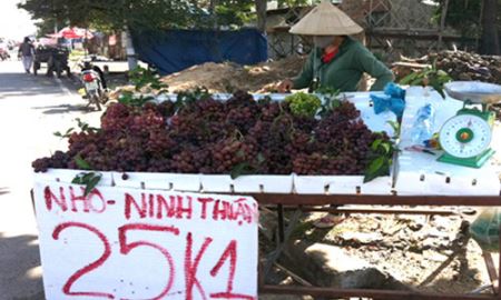 Hiểm họa hoa quả “lạ” đội lốt hàng Việt