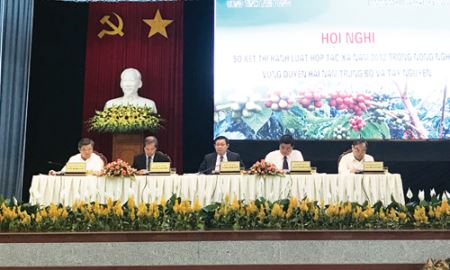 Gỡ khó để phát triển HTX Nam Trung bộ - Tây Nguyên
