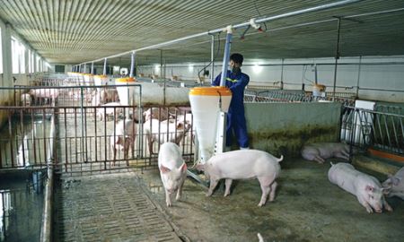 HTX Phấn Mễ (Thái Nguyên): Bệ đỡ cho thanh niên khởi nghiệp