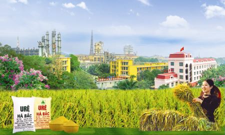 Đạm Hà Bắc chính thức giao dịch trên sàn UpCom