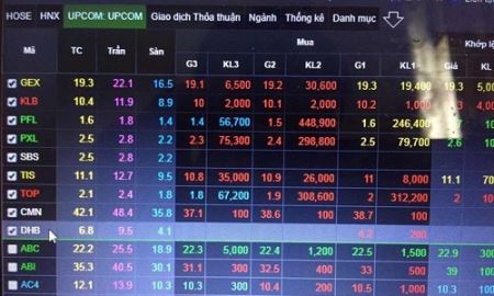 Thua lỗ triền miên, cổ phiếu Đạm Hà Bắc liên tục 