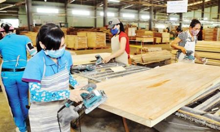 TTF xin gia hạn công bố báo cáo tài chính quý 2/2017 đến 15/9