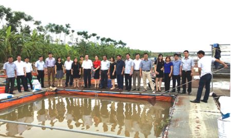Giải pháp nào phát triển HTX kiểu mới ở Đồng bằng sông Hồng?