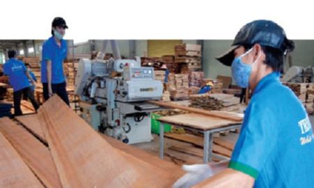 Gỗ Trường Thành không được gia hạn nộp BCTC 